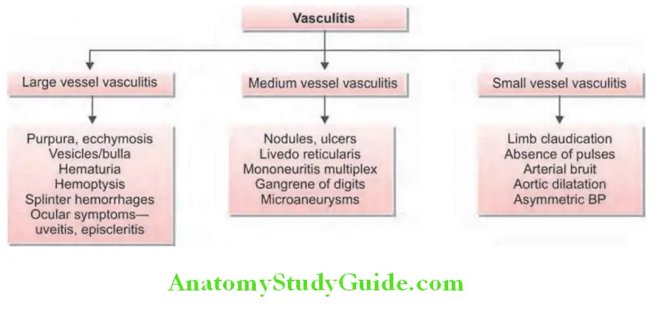 Rheumatology and Connective Tissue Disorders vasculitis.