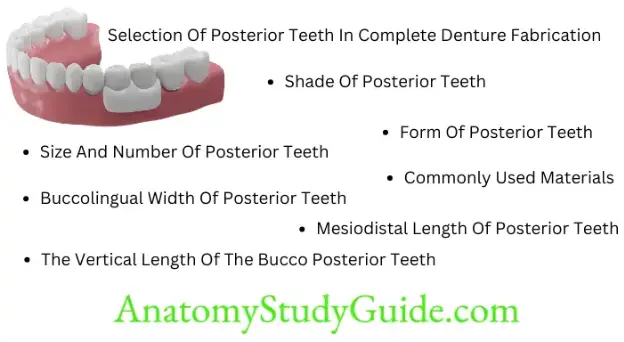 Selection Of Posterior Teeth In Complete Denture Fabrication