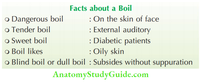 Acute Infections Sinuses Fistula And Surgical Site Infection Facts About A Boil