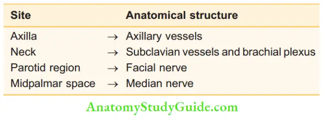 Acute Infections Sinuses Fistula And Surgical Site Infection Relationship Of Nerve Or Vessels With An Abscess