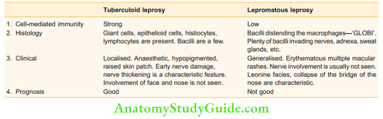 Chronic Infectious Disease Comparison Of Tuberculoid Leporosy With Lepromatous Leprosy