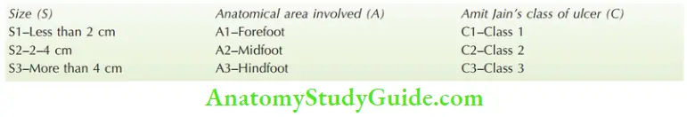 Differential Diagnosis Of Leg Ulcer And Pressure Sore Amit Jains SAC Coding For Diabetic Foot Ulcer