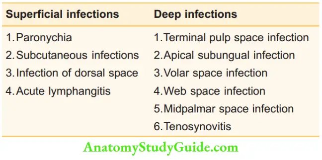 Hand Foot Infections And Tendon Transfer Classification Of Hand Infections