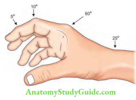 Hand Foot Infections And Tendon Transfer Position Of Funtions