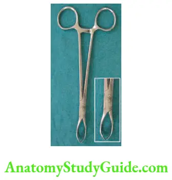 Instruments Lane’s forceps