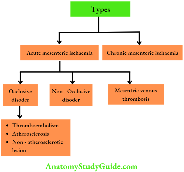 Intestinal Obstruction Types Of Mesenteric Ischaemia