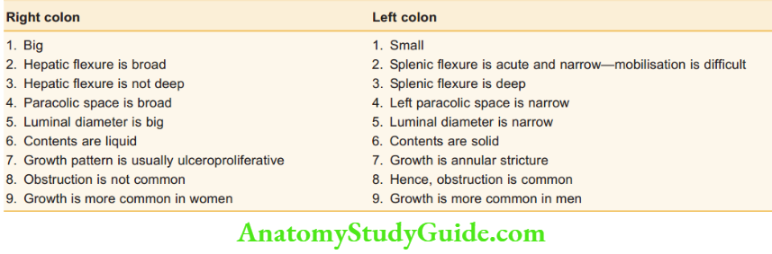 Large Intestine Comparison Between And Right Colon And Left Colon