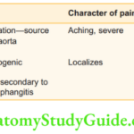 Lower Limb Ischaemia And Popliteal Aneurysm Pain In The Leg Other Causes