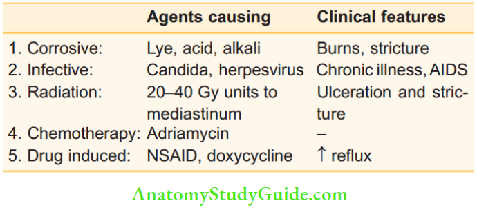 Oesophagus And Diaphragm Type Of Nonreflux Oesophagitis