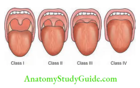 Principles Of Anaesthesiology Muscle Relaxants Reversal Of ...