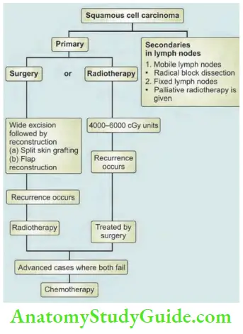 Skin Tumours Fixity To Major Vessels Such As Carotid And Femoral Artery Is A Contraindication