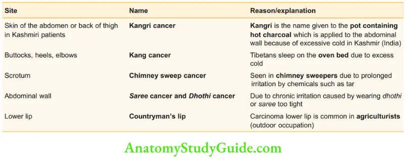 Skin Tumours Site Of Squamous Cell Carcinoma