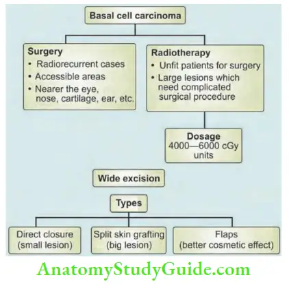 Skin Tumours Treatment Of BCC