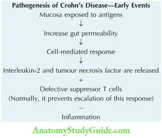 Small Intestine Pathogenesis of Crohn’s Disease