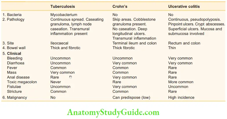 Small Intestine Summary of tubercular ileocolitis ulcerative colitis and Crohn’s colitis