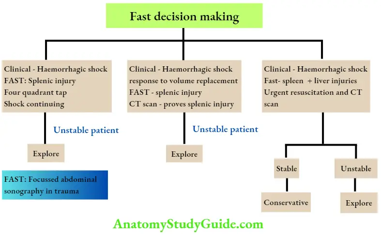 Spleen Management Of Splenic Rupture