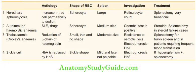 Spleen Summary Of Haemolytic Anaemias