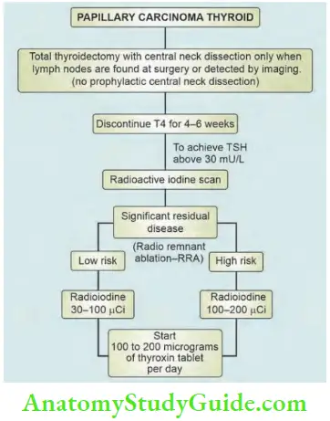 Thyroid Gland Management Protocol Of Papillary Carcinoma