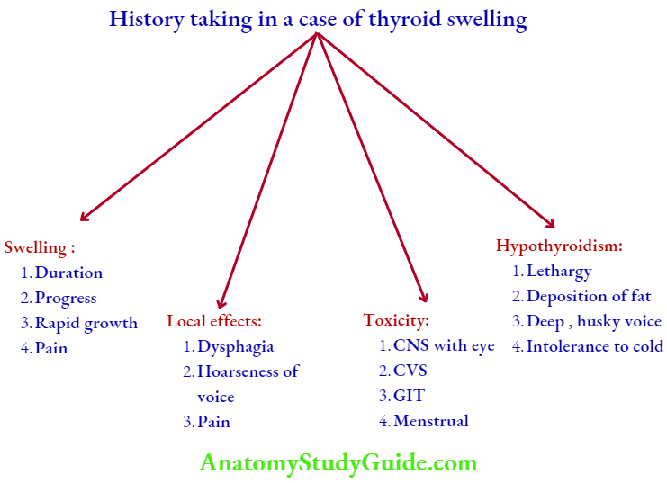 Thyroid Gland Summary Of History Taking