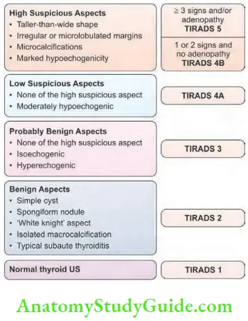 Thyroid Gland TIRADS Imaging