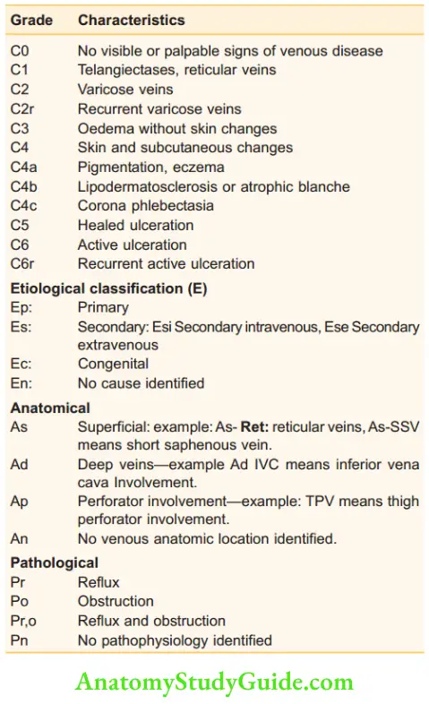 Varicose Veins And Chronic Deep Vein Thrombosis Definition Symptoms ...