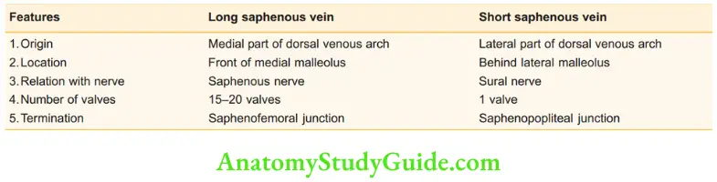 Varicose Veins And Deep Vein Thrombosis Comparison Between Long Saphenous And Short Saphenous Veins