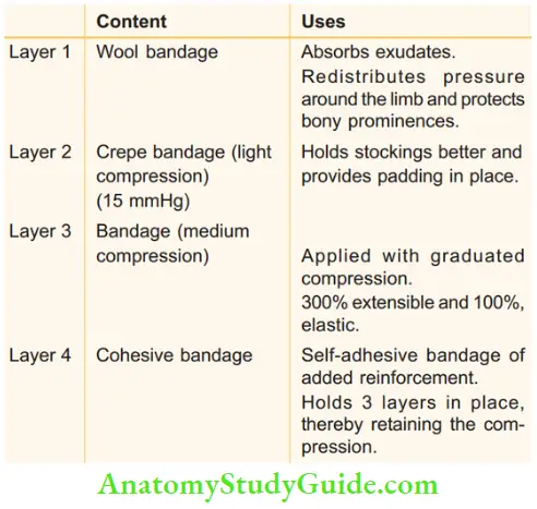 Varicose Veins And Deep Vein Thrombosis Four Layered Dressing