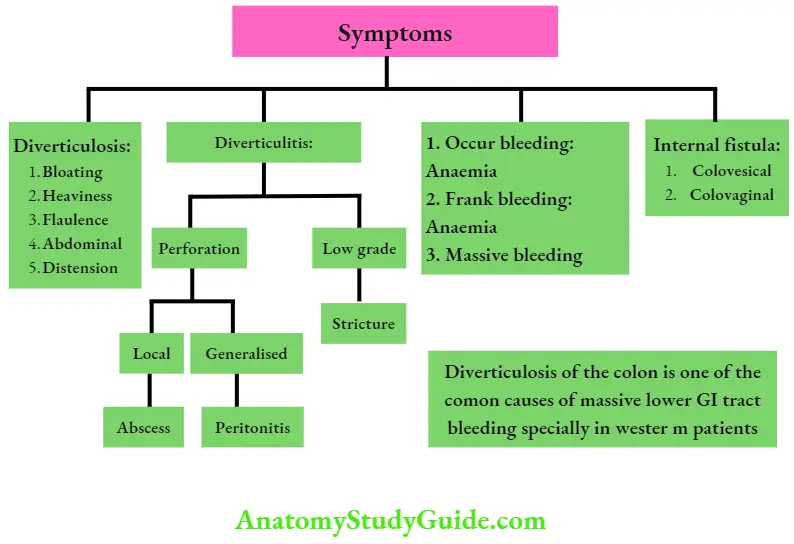 Large Intestine Summary Of Diverticular Disease