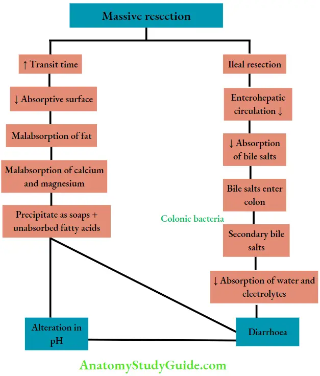 Small Intestine Nutritional deficiency in short gut syndrome