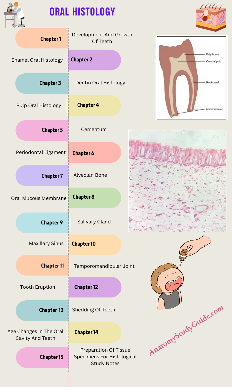 Oral Histology