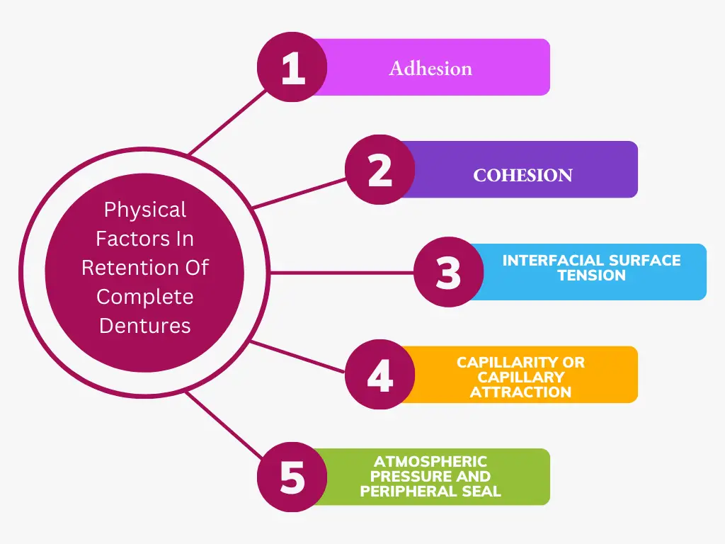Physical Factors In Retention Of Complete Dentures