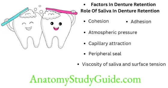 Salivary Secretion And Denture Retention Factors in Denture Retention Role of Saliva in Denture Retention (1)