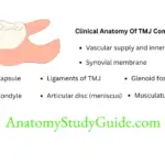 Temporomandibular Joint Structure Function Clinical Anatomy Of TMJ Components