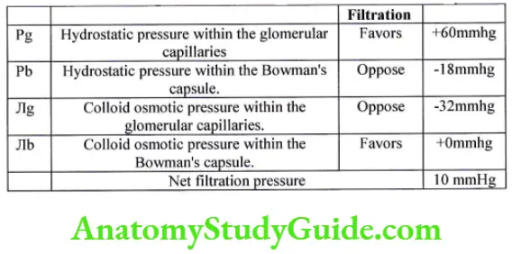 Normal values and action of various starling forces