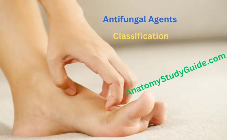 Antifungal Agents Classification
