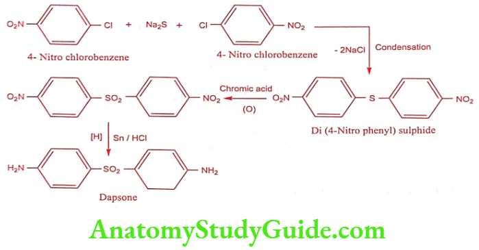 Medical Chemistry Antibacterial Sulphonamides Dapsone Synthesis