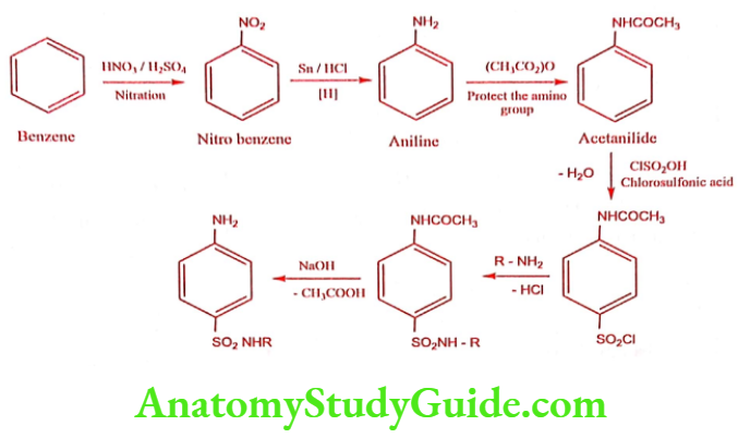 Medical Chemistry Antibacterial Sulphonamides General Method of Synthesis