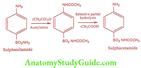 Medical Chemistry Antibacterial Sulphonamides Sulphacetamide synthesis