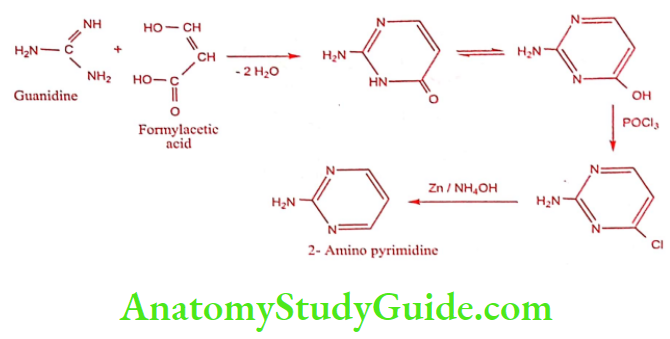 Medical Chemistry Antibacterial Sulphonamides Sulphadiazine Synthesis Method 1