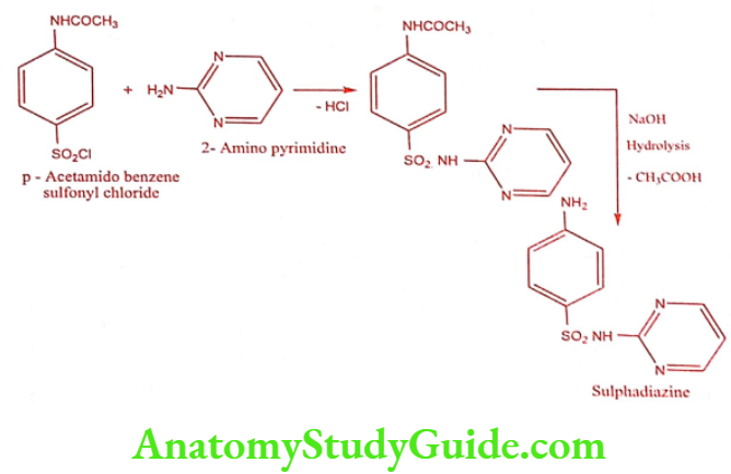 Medical Chemistry Antibacterial Sulphonamides Sulphadiazine Synthesis Method 2
