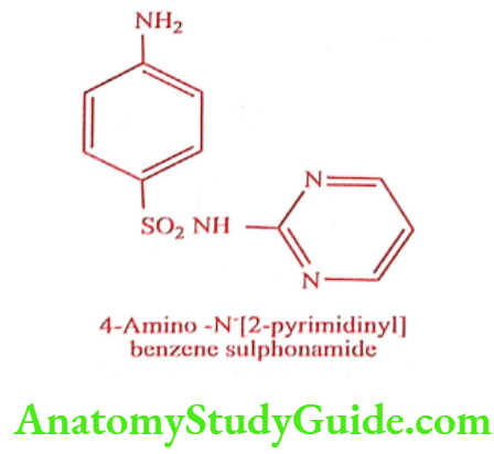 Medical Chemistry Antibacterial Sulphonamides Sulphadiazine