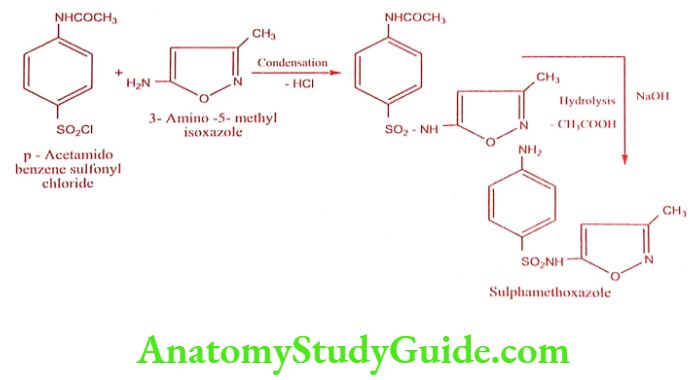 Medical Chemistry Antibacterial Sulphonamides Sulphamethoxazole Synthesis Method 2