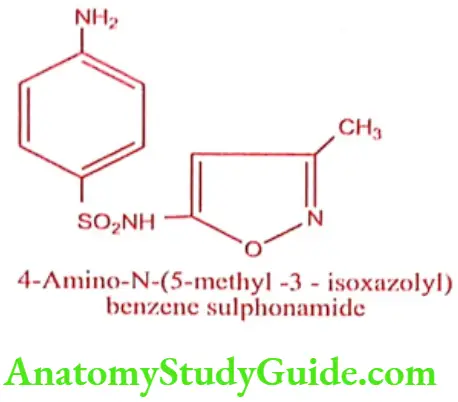 Medical Chemistry Antibacterial Sulphonamides Sulphamethoxazole