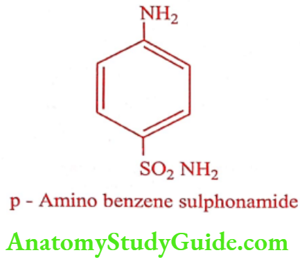 Medical Chemistry Antibacterial Sulphonamides Sulphanilamide