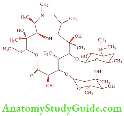 Medical Chemistry Antibiotics Azithromycin