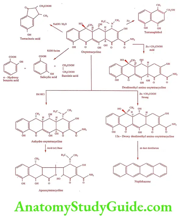 Medical Chemistry Antibiotics Degradation of Oxytetracycline