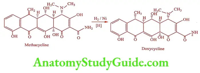 Medical Chemistry Antibiotics Doxycycline synthesis