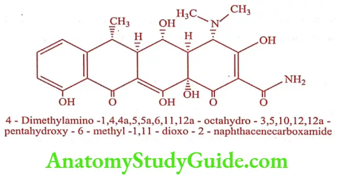 Medical Chemistry Antibiotics Doxycycline
