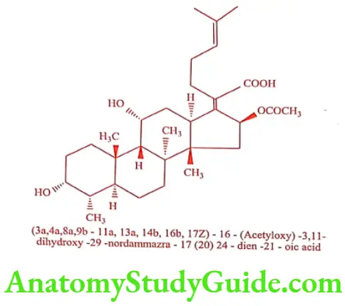 Medical Chemistry Antibiotics Fusidic acid