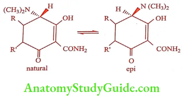 Medical Chemistry Antibiotics Isomers
